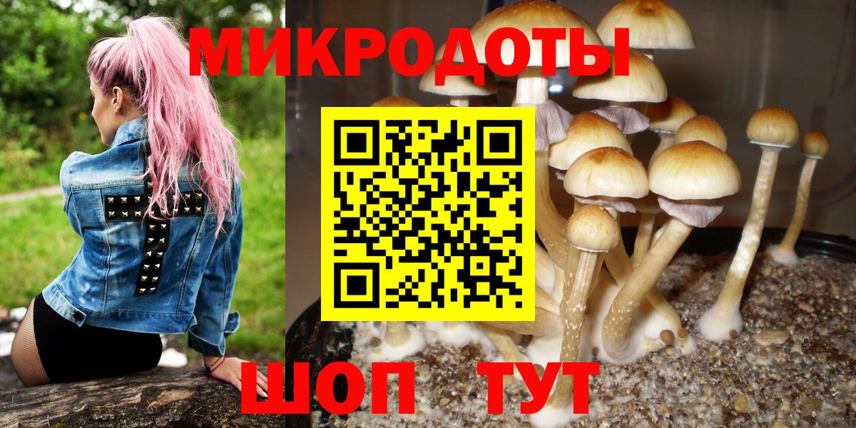 Псилоцибиновые грибы прущие грибы Городец