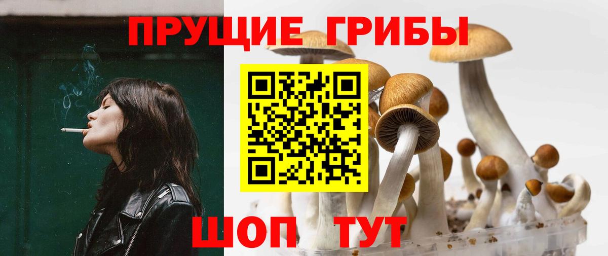 Городец  Псилоцибиновые грибы мухоморы  Вход с VPN 